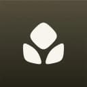 Clove logo