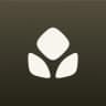 Clove logo
